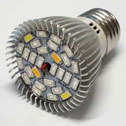 LED taimelamp 5W