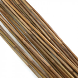 Bambuskepid 120cm