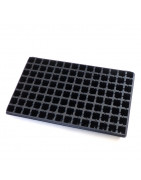 Seedling trays